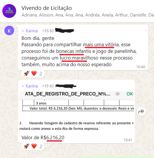Karina registra uma venda de bonecas, mostrando que oportunidades podem surgir em produtos inesperados.