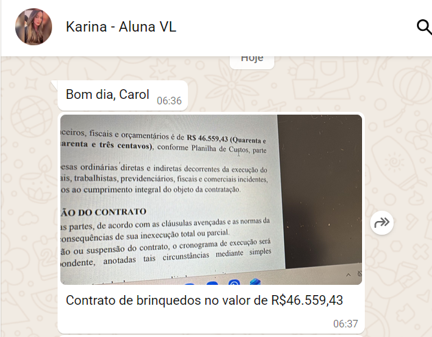 Karina registra resultado com brinquedos, mostrando como nichos simples também aparecem nas licitações.